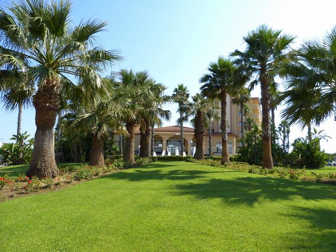 Vuelta de vacaciones (13)