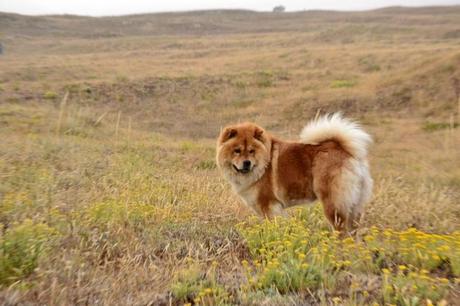 Outfit Low Cost: Chains Outfit Low Cost: Chains