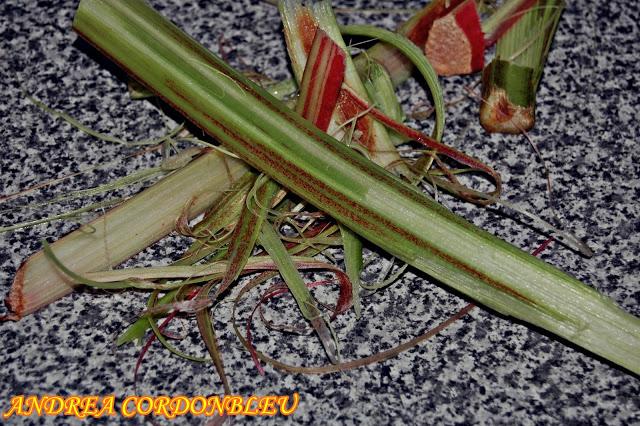 TRIANGULO DE RUIBARBO Y CEREZA