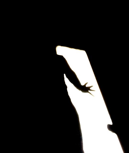 Androidografia Barakaldo 1428