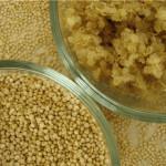 Quinoa vs. Amaranto … y ¿cómo prepararlos?