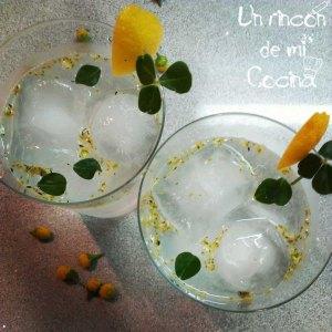 gintonic sechuan (1)