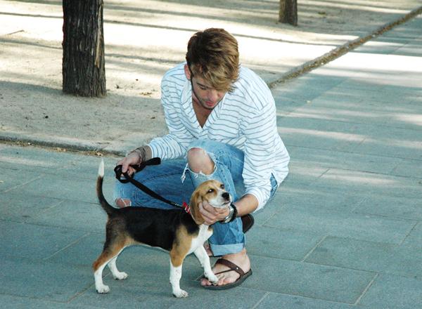 This is an outfit: camisa de rayas, jeans rotos y Victoria