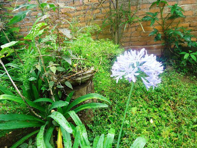 ¡Entre los cafetales de Jinotega! Cuarta parte