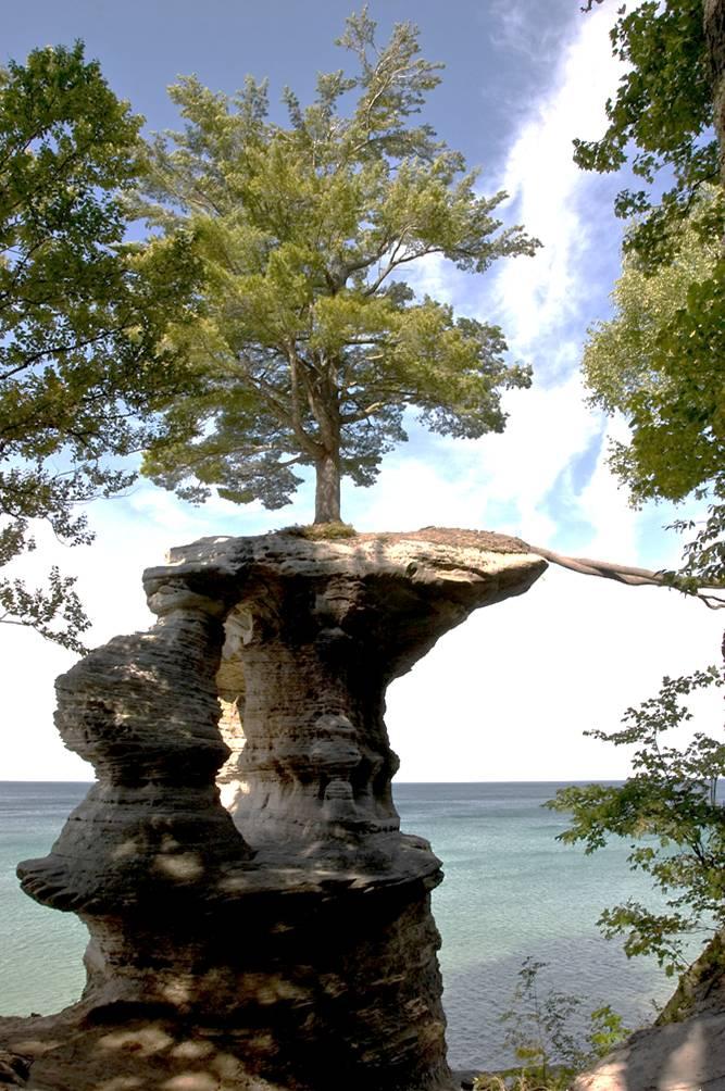 El pino imposible que vive sobre la Roca de la Capilla