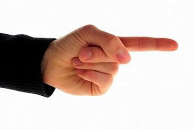 PRIMARIAS, DEDAZOS Y DEMOCRACIA