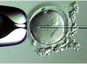 justicia asturiana ordena pagar fecundación mujer lesbiana