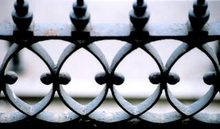 Anatomía: el humor vítreo