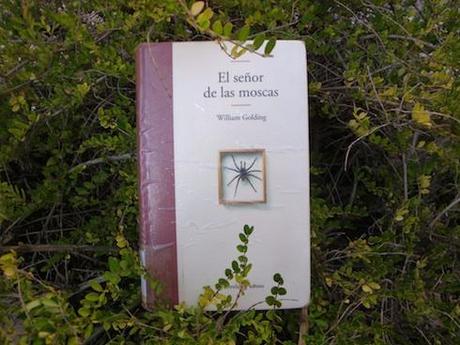 el-sencc83or-de-las-moscas el-sencc83or-de-las-moscas