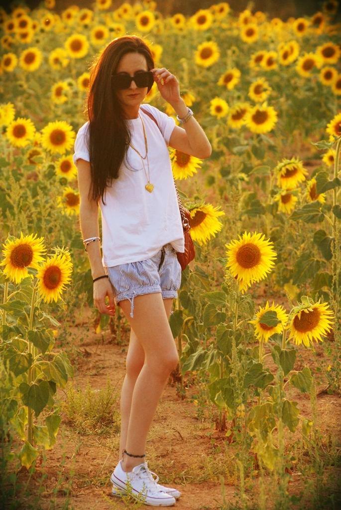 Sunflowers