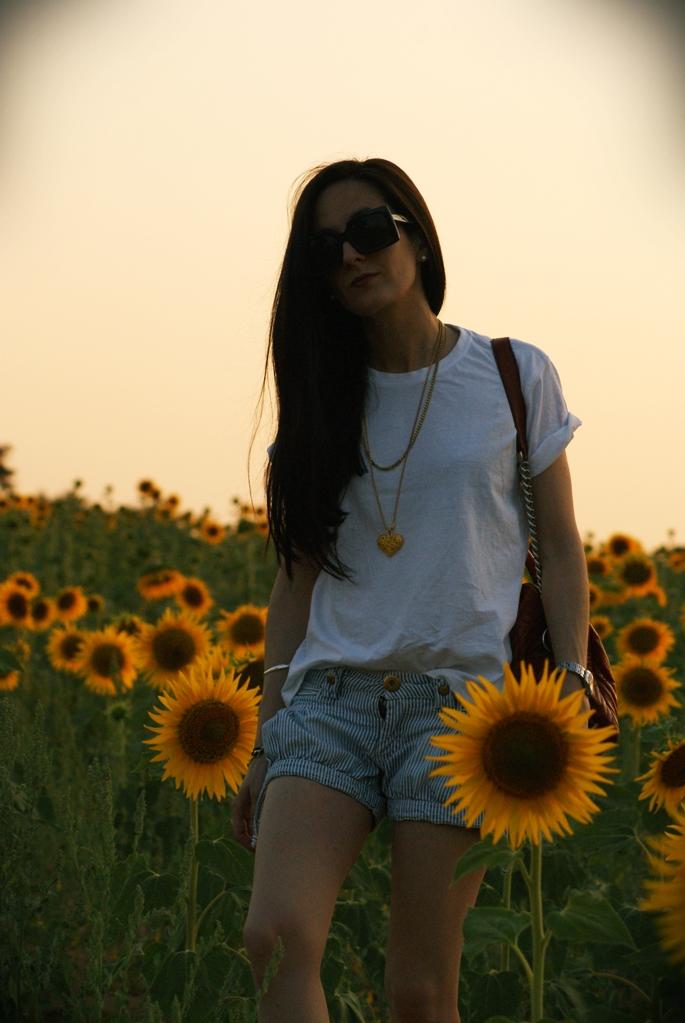 Sunflowers