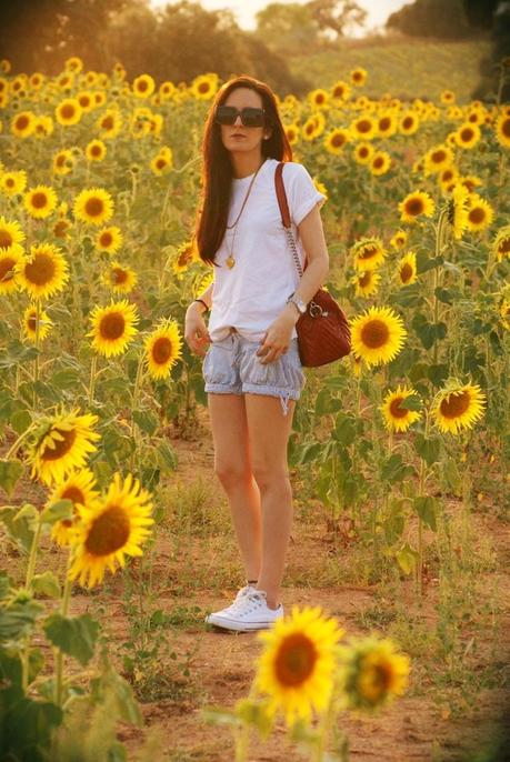Sunflowers