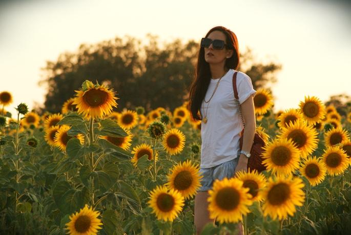Sunflowers