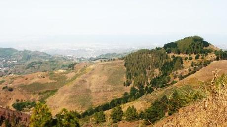 Contrastes de Gran Canaria a través de sus miradores (II) Mirador Pinos de Galdar