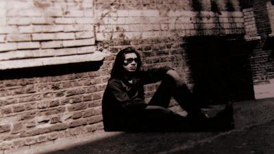 Guanajuato 2013... en un vistazo