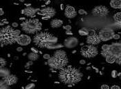 Bacterias Magnéticas Diagnostican Cáncer