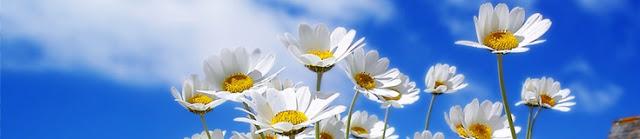 QUÉ ES LA COSMÉTICA ECOLÓGICA