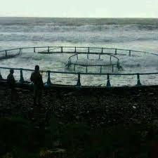 Reclaman que sean retiradas, de una vez, las jaulas marinas de las Aguas frente a Igueste de San Andrés.