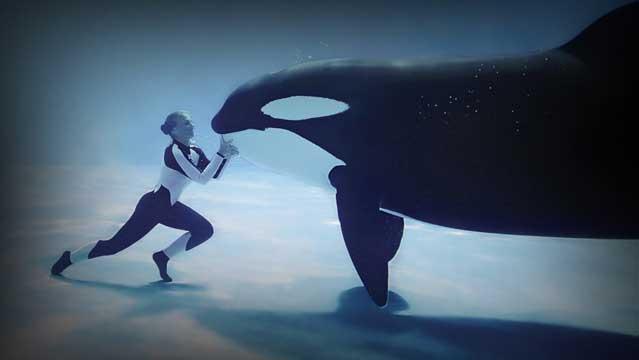 orca en SeaWorld (documental Pez Negro)