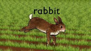 Rabbit - Run Wrake (2005)