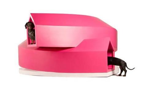 1016816_259606720838156_452744449_n