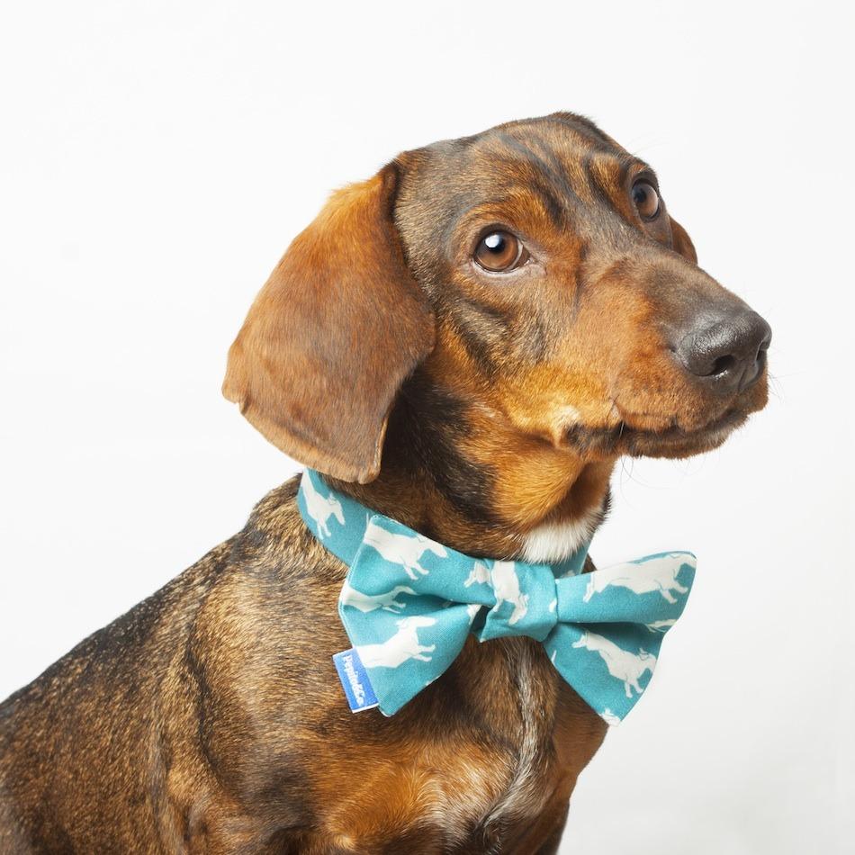 Image of Pajarita Pepito azul/rosa