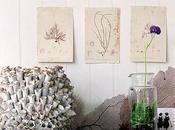 claves refrescante estilo marinero