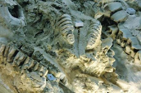 restos arqueológicos de Orce