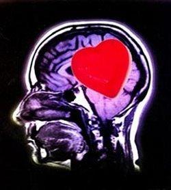 Lecciones que nos da la Vida: Educando nuestras Emociones