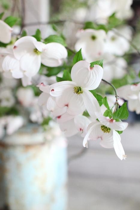 Hoy todos somos Galicia...