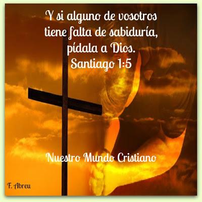 Dónde hallar sabiduría