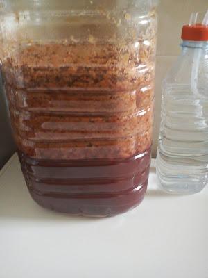 Vino de cerezas de montaña de Alicante