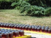 Vino de cerezas de montaña de Alicante