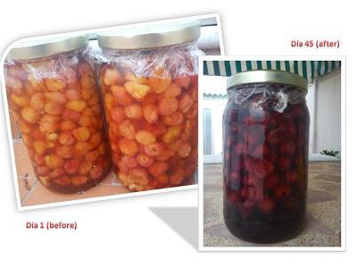 Vino de cerezas de montaña de Alicante