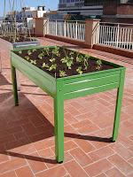 LA MESA DE CULTIVO UNA SOLUCIÓN IDEAL PARA CULTIVAR EN CASA