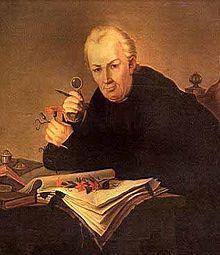 Descubrimiento, reglas para la definición de un nombre taxonómico linneano