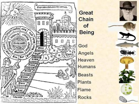 La historia natural, una ciencia de coleccionistas