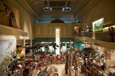 La historia natural, una ciencia de coleccionistas La historia natural, una ciencia de coleccionistas