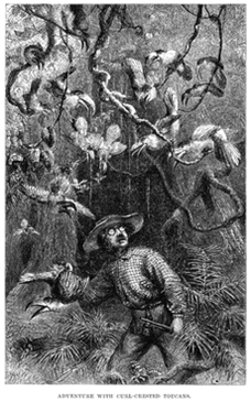 Contexto histórico de la taxonomía Linneana, la competencia de los imperios Contexto histórico de la taxonomía Linneana, la competencia de los imperios