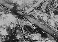 La tragedia ferroviaria de la Avalancha de Wellington