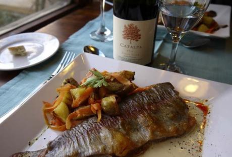 4º Tour Valle de Uco, primeras líneas 4º Tour Valle de Uco, primeras líneas