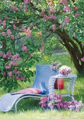 Imágenes de la semana