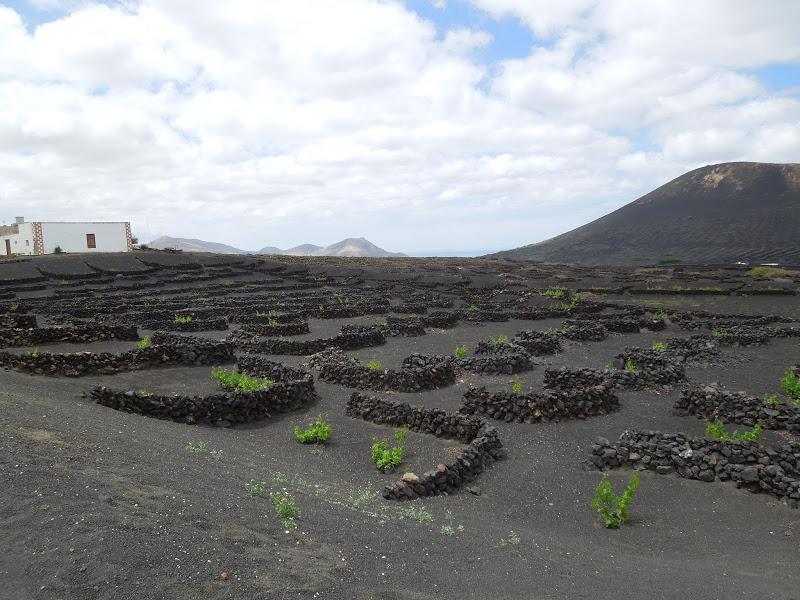 LANZAROTE : El Chupadero (La Geria)