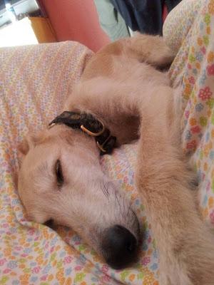 Epístola del viernes (3)