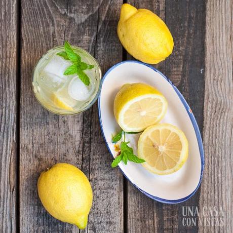 limonada_casera_03
