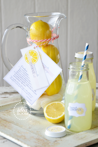 Homemade-Lemonade-Gift-Kit_thumb