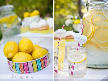 Limonada casera para todos edible-ec-lemonade-1