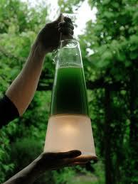 Latro, Lámpara de Algas que Produce Electricidad por la Fotosíntesis