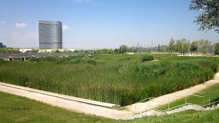 Parque del Agua, Zaragoza, Polidas chamineras