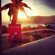 LOS LIBROS SON PARA EL VERANO LaHerradura